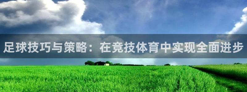 风动体育官网：足球技巧与策略：在竞技体育中实现全面进步