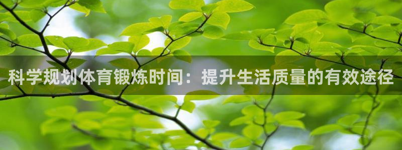 风动体育app：科学规划体育锻炼时间：提升生活质量的有效途径