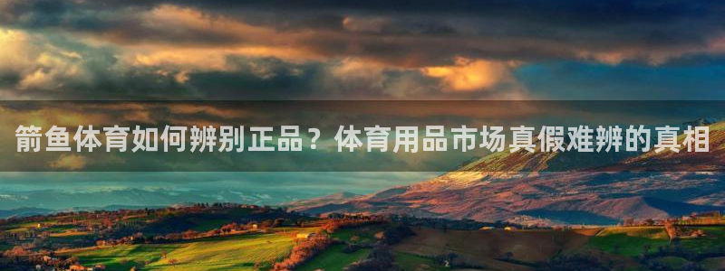 风动体育免费观看入口
