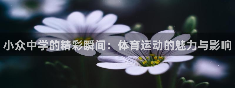 风动体育苹果版在哪下