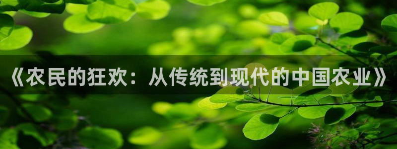 风动体育官网入口登录：《农民的狂欢：从传统到现代的中国农业》