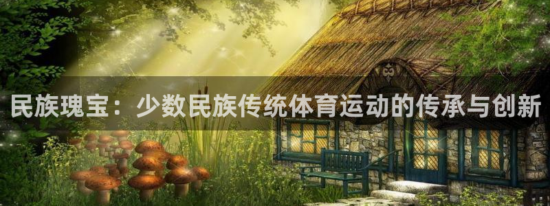 风动体育安卓版下载