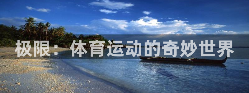 风动体育在线直播