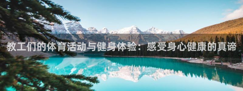 风动体育怎么下载app：教工们的体育活动与健身体验：感受身心健康的真谛