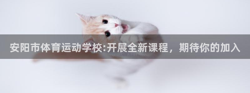 风动体育APP免费下载