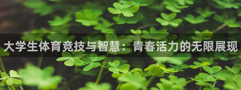 风动体育APP为恶意应用吗：大学生体育竞技与智慧：青春活力的无限展现